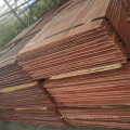 High Quality Copper Cathode Pure